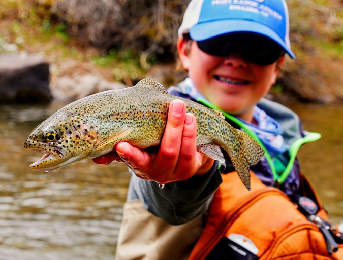 7,600 rainbow trout fish will be stocked in Idaho